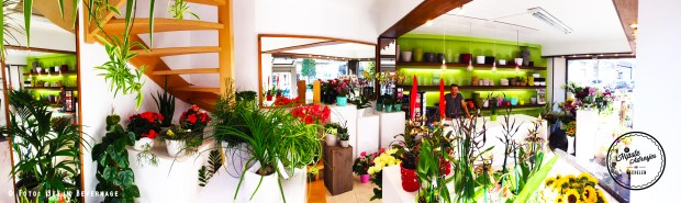 Bloemen Louis Mechelen
