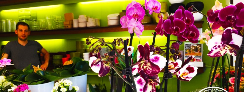 Bloemen Louis Mechelen