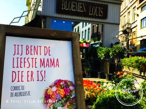 Bloemen Louis Mechelen