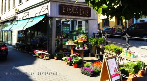Bloemen Louis Mechelen
